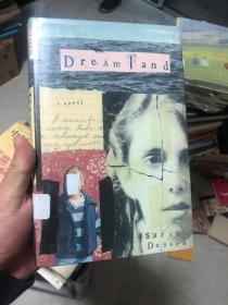 外语原版书：《Dreamland》英文原版 梦想之地 精装250页内容，《someone like you》作者Sarah dessen 又一作品