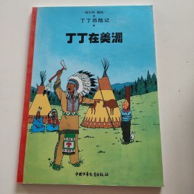 丁丁在美洲