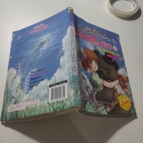 智慧公主马小岚前传.2——飞机上失踪的小黑熊