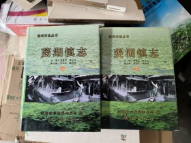 菱湖镇志 上下