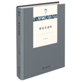 游走在边际【正版新书】