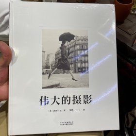DK 伟大的摄影（正版包邮）