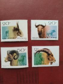 邮票 T161  野羊