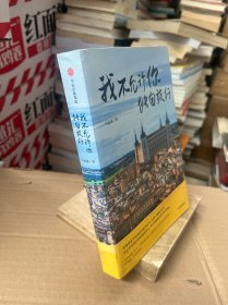 我不允许你独自旅行