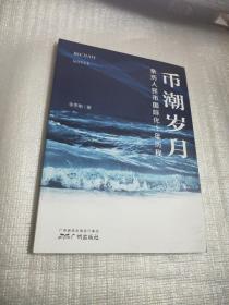 币潮岁月——亲历人民币国际化十年历程