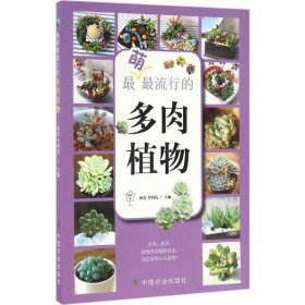 最萌最流行的多肉植物