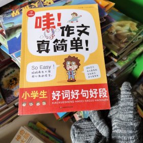 作文大赏：小学生好词好句好段