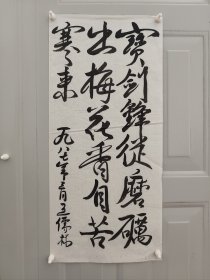 王儒林。11年10月出生于山东省莱芜市。55年9月被授予上校军衔。荣获中华人民共和国二级独立自由勋章、二级解放勋章。60年晋升为大校。88年7月被中央军委授予中国人民解放军独立功勋荣誉章。最高军职是中国人民解军解放军军事科学院战史部副军职研究员（副军级），根据军（副军）级、军种各部部长的资历，可授予少将军衔。因其88年中国人民解放军第二次授衔前业已离休，超过了授衔时效，故无授衔。因此谓无衔将军。