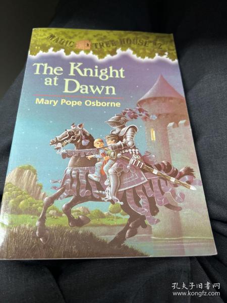 The Knight at Dawn (Magic Tree House #2)  神奇树屋系列2：黎明骑士 英文原版