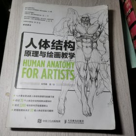 人体结构原理与绘画教学