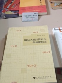 国际区域经济合作新高地探索