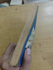 日本小猴王———大战迷魂宫