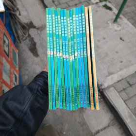 新理念英语阅读初一至初三共计十五本