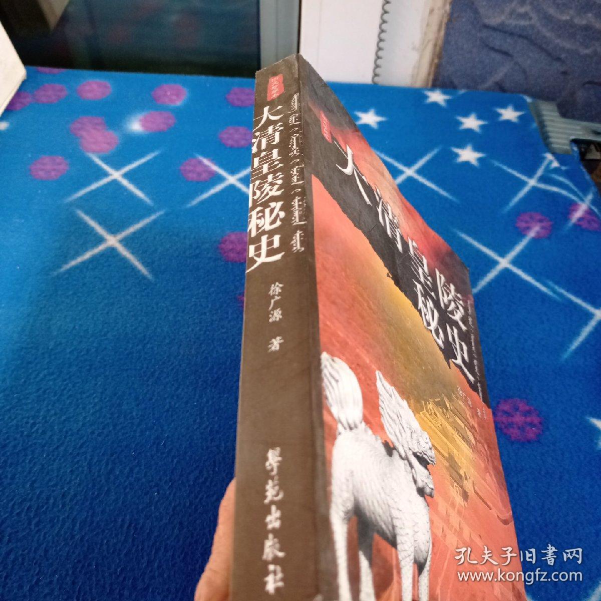 大清皇陵秘史（修订版）