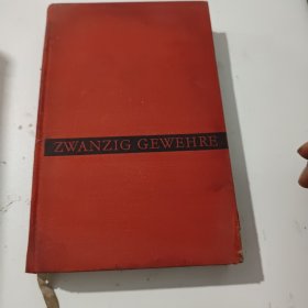 ZWANZIG GEWEHRE(看图)