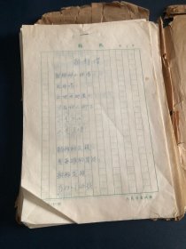 朝鲜赞 等等100余页（徐放手稿）