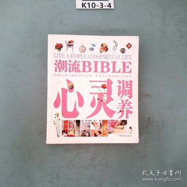 潮流BIBLE：快乐减压、颜色魔力、心灵调养