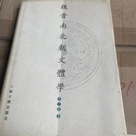 魏晋南北朝文体学