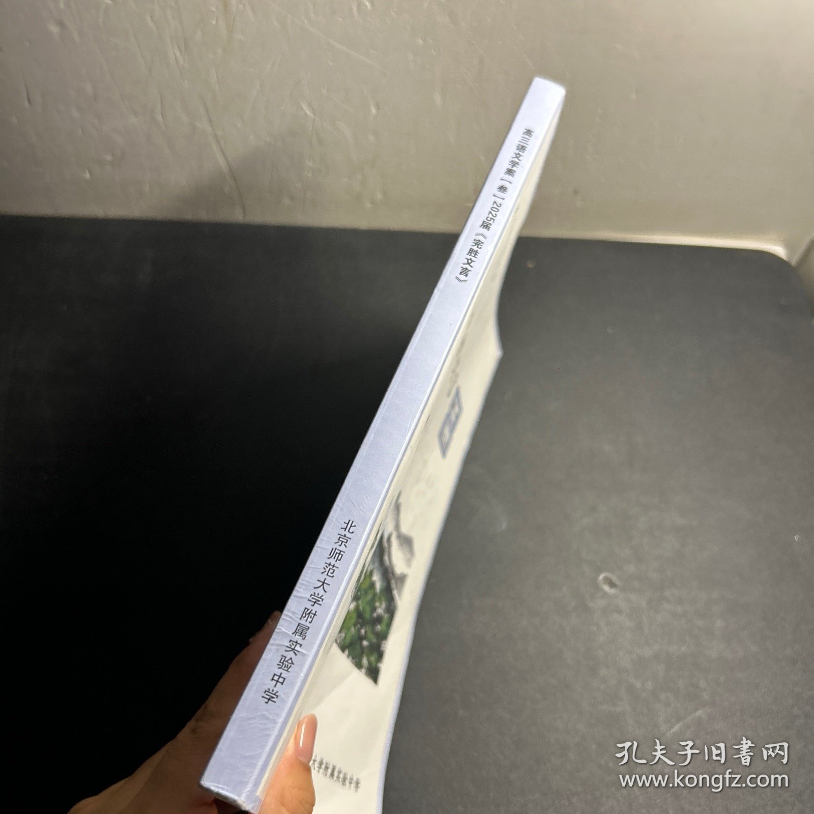 北京师范大学附属实验中学 高三语文学案：完胜文言 2025届 最新版