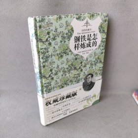 钢铁是怎样炼成的（精装插图典藏本）