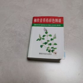 袖珍青草药彩色图谱