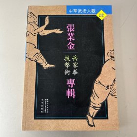 张业金专辑：岳家拳技击术