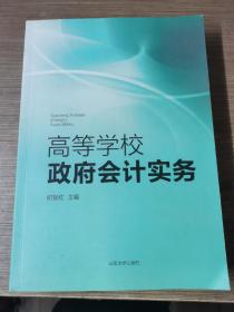 高等学校政府会计实务