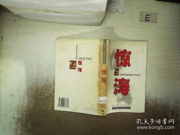 惊涛:长篇电视连续剧文学剧本