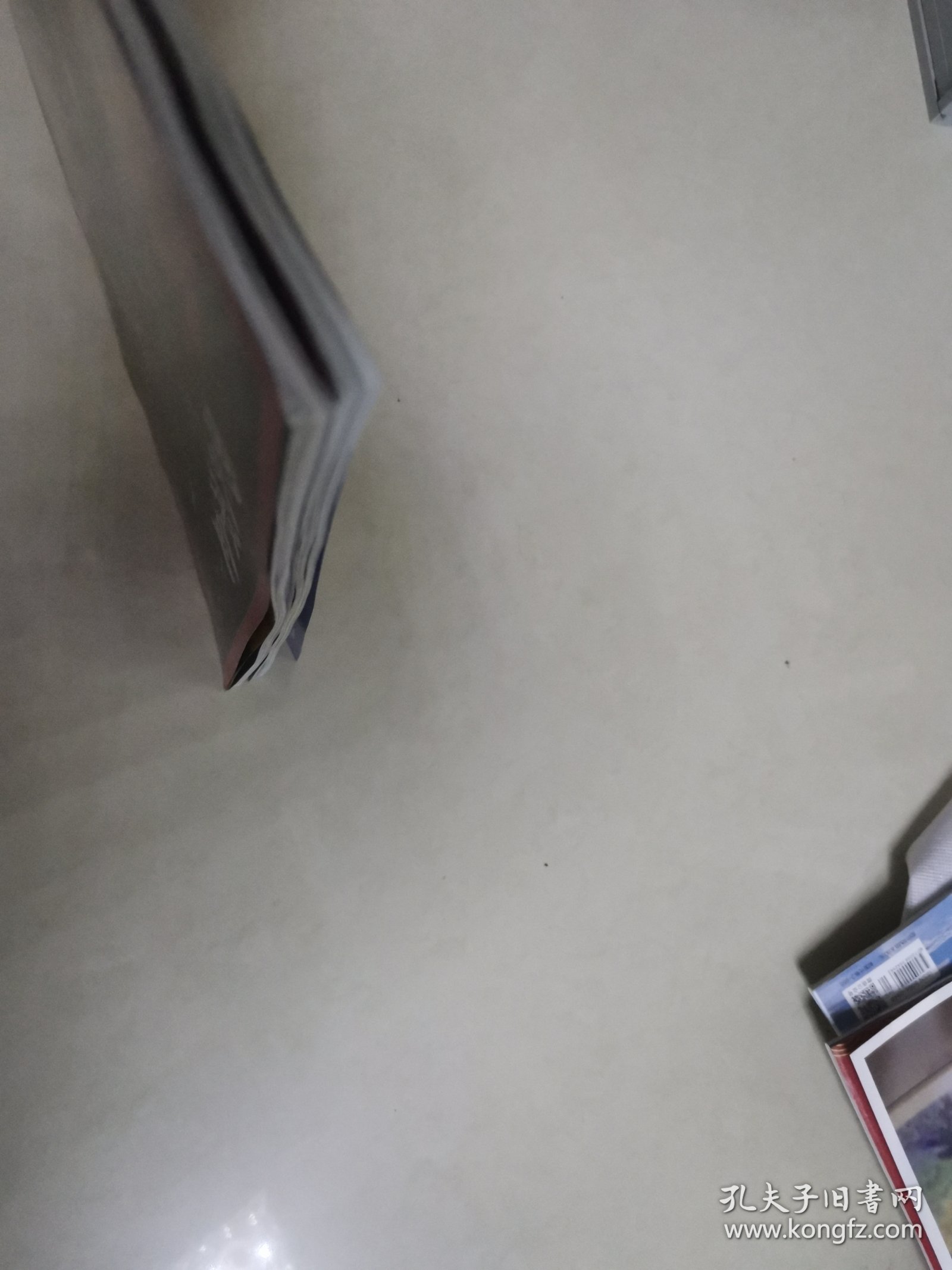 南风窗2024年21—22期两本