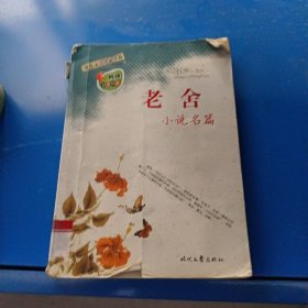 现代文学名家名篇：老舍小说名篇