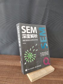 SEM深度解析 搜索引擎营销及主流网站分析实战