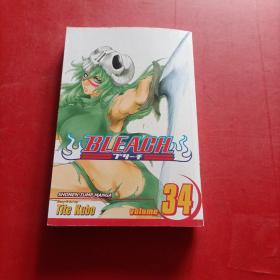 Bleach, Vol. 34