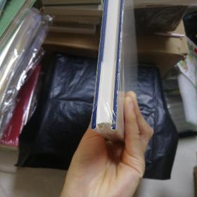丰子恺全集 艺术理论艺术杂著卷二
