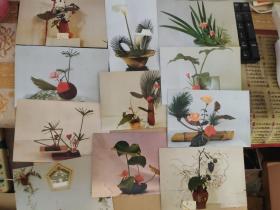八十年代花卉明信片（11枚）