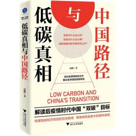 低碳真相与中国路径（梳理低碳经济背后的历史脉络，聚焦绿色新政中的博弈真相）