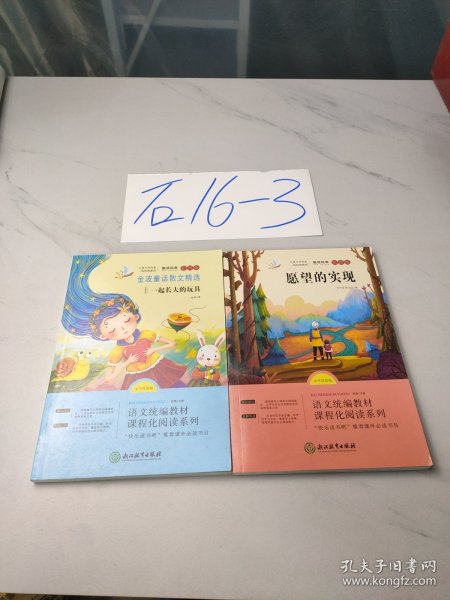 快乐读书吧 二年级下 全4册 七色花神笔马良金波童话愿望的实现 小学生2年级下学期课外阅读书 6-9岁经典童话故事绘本