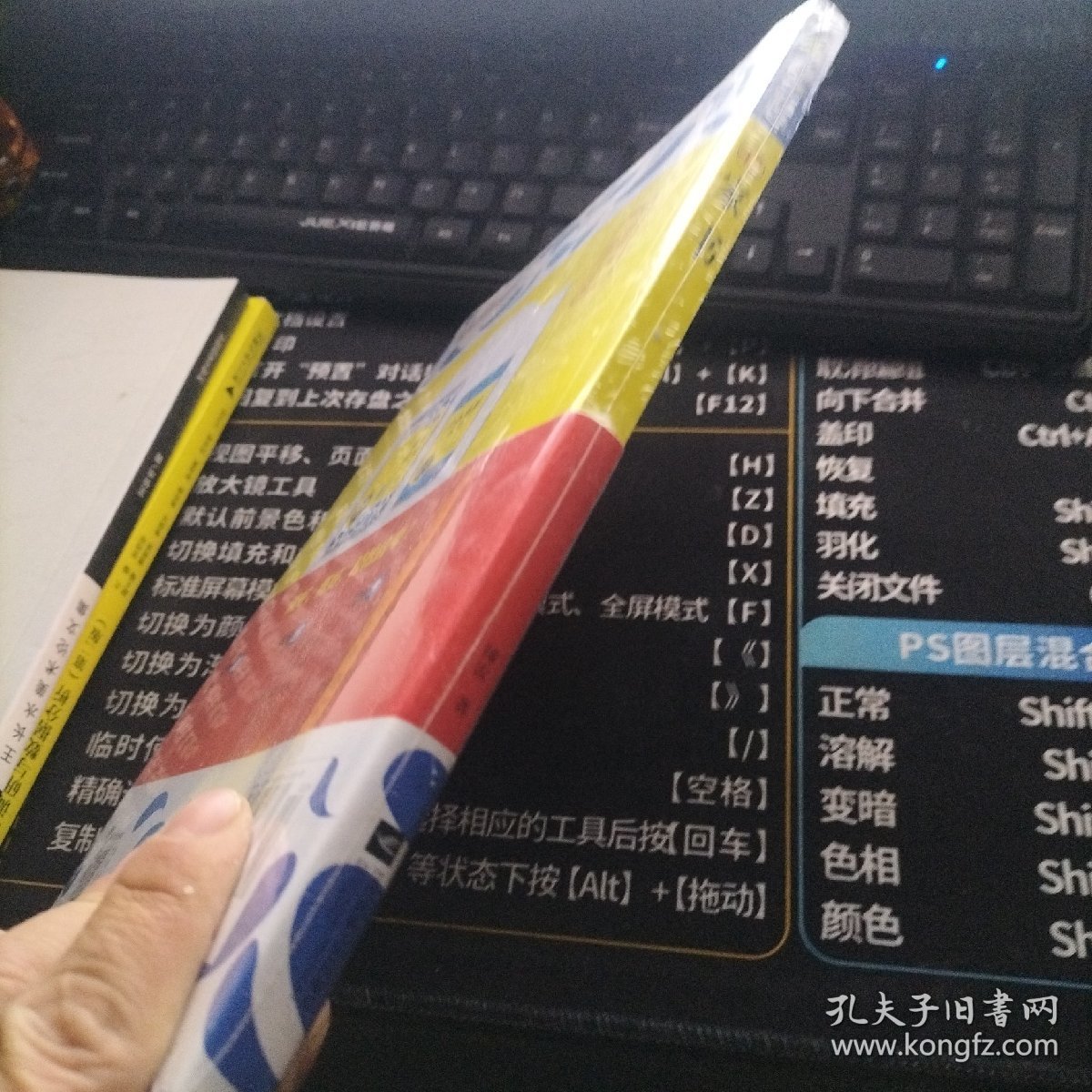 (全新正版包邮）傅雷家书 9787539960869