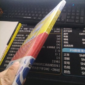 (全新正版包邮）傅雷家书 9787539960869