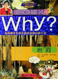 【正版书籍】WHY