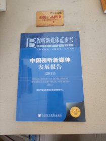 中国视听新媒体发展报告：Annual Report on Development of China's Audio-visual New Media(2011)