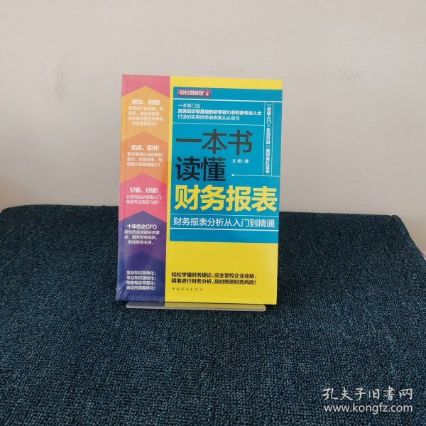 一本书读懂财务报表：财务报表分析从入门到精通