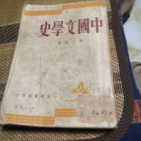 中国文学史 光明书局