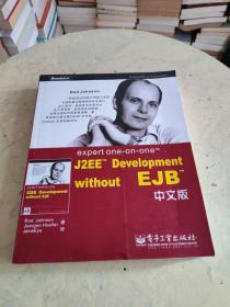 expert one-on-one J2EE Development without EJB 中文版