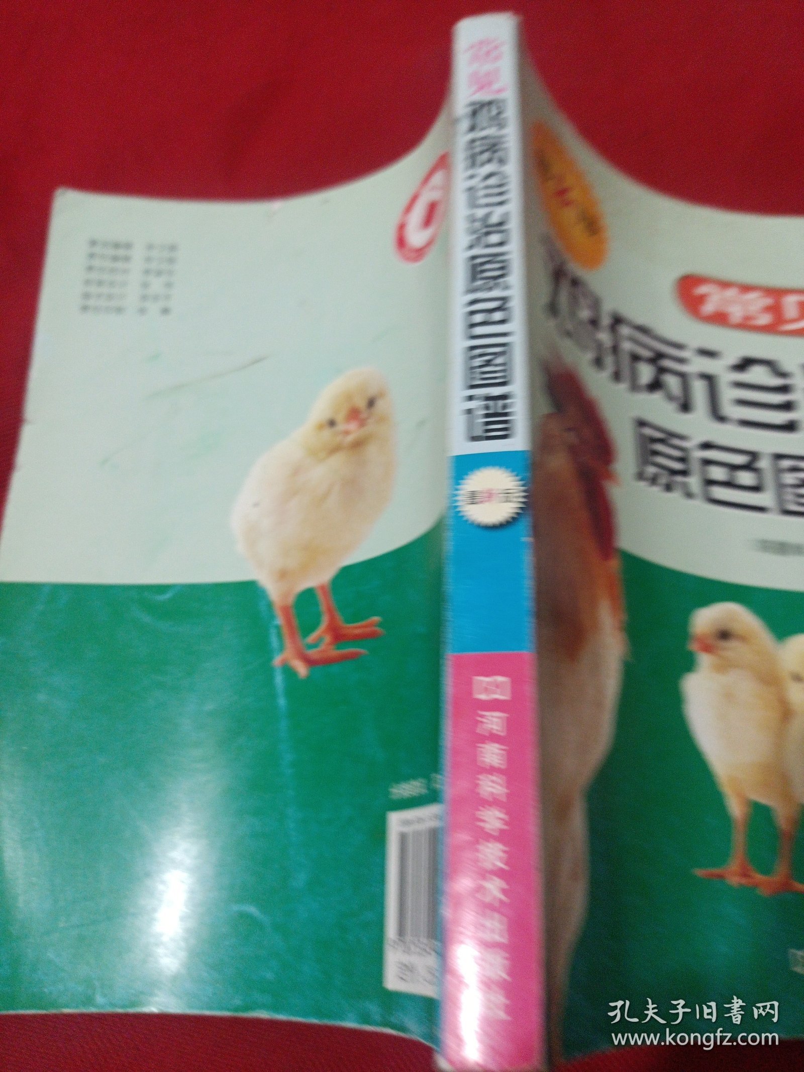 22A大32：常见鸡病诊治原色图谱