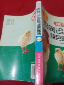 22A大32：常见鸡病诊治原色图谱