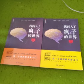 我闯入了疯子的世界(上下册,小说版《天才在左，疯子在右》)