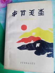 迷恋的山野（彝文）一版一印――56