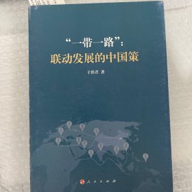 “一带一路”：联动发展的中国策