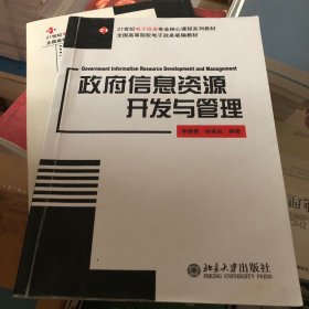 政府信息资源开发与管理/面向21世纪电子政务专业核心课程系列教材·全国高等院校电子政务联编教材