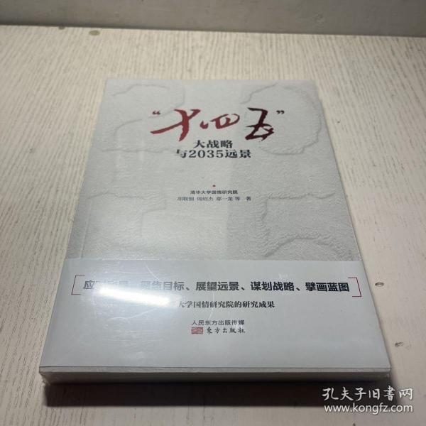 “十四五”大战略与2035远景